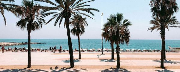 5 Best Things To Do in Barcelona in August