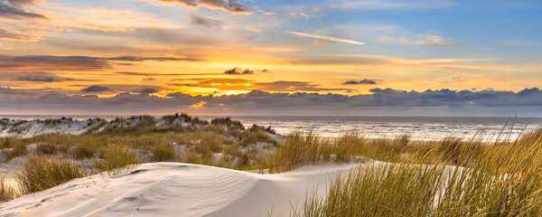 The Best Beaches Near Amsterdam
