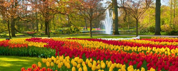 10 Best Gardens in Amsterdam for Nature & Tranquility