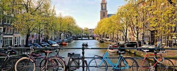 8 Best Bridges in Amsterdam To Visit