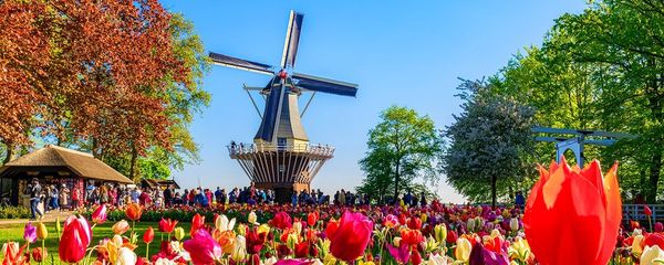 Essential 2025 Guide to Visiting Keukenhof: The Garden of Europe