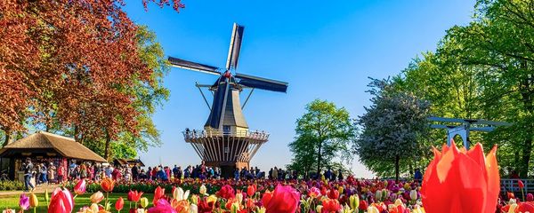 The 12 Best Free Things To Do in Amsterdam