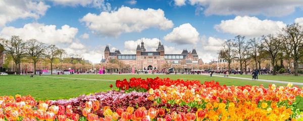 The Best Time To Visit Amsterdam: A Month-by-Month Guide