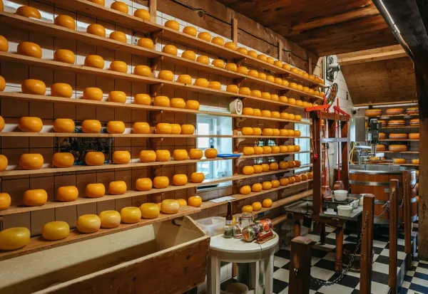 The Best Food In Amsterdam: 12 Must-Try Dutch Dishes