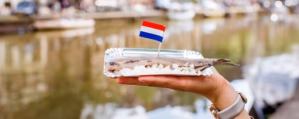 Where to Eat the Best Herring in Amsterdam