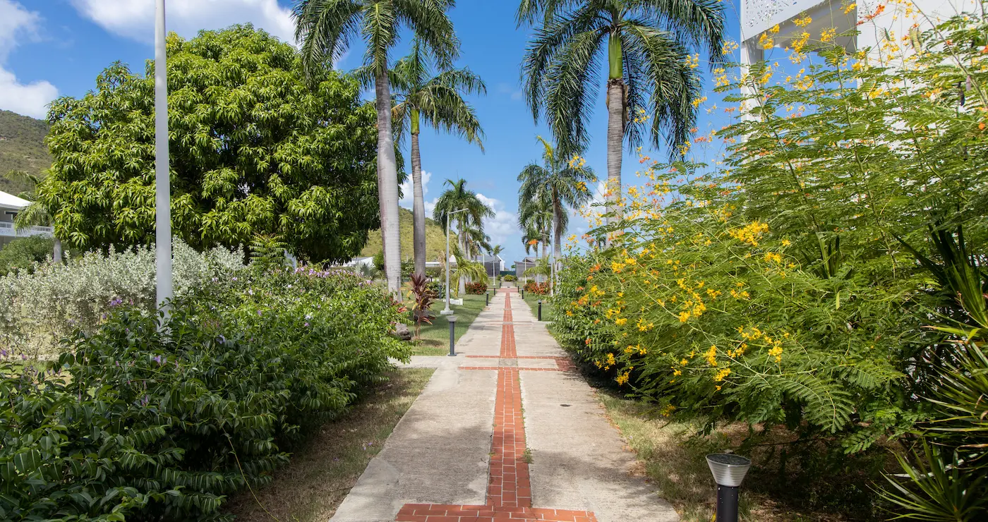 Politique de confidentialité Palm Court Résidence Hôtel 4**** Baie Orientale Saint Martin