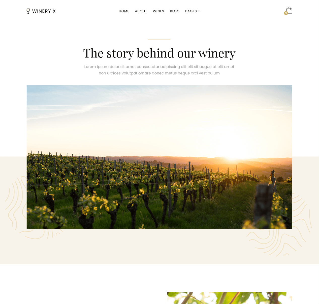 Winery X - About page - Winery Webflow Template