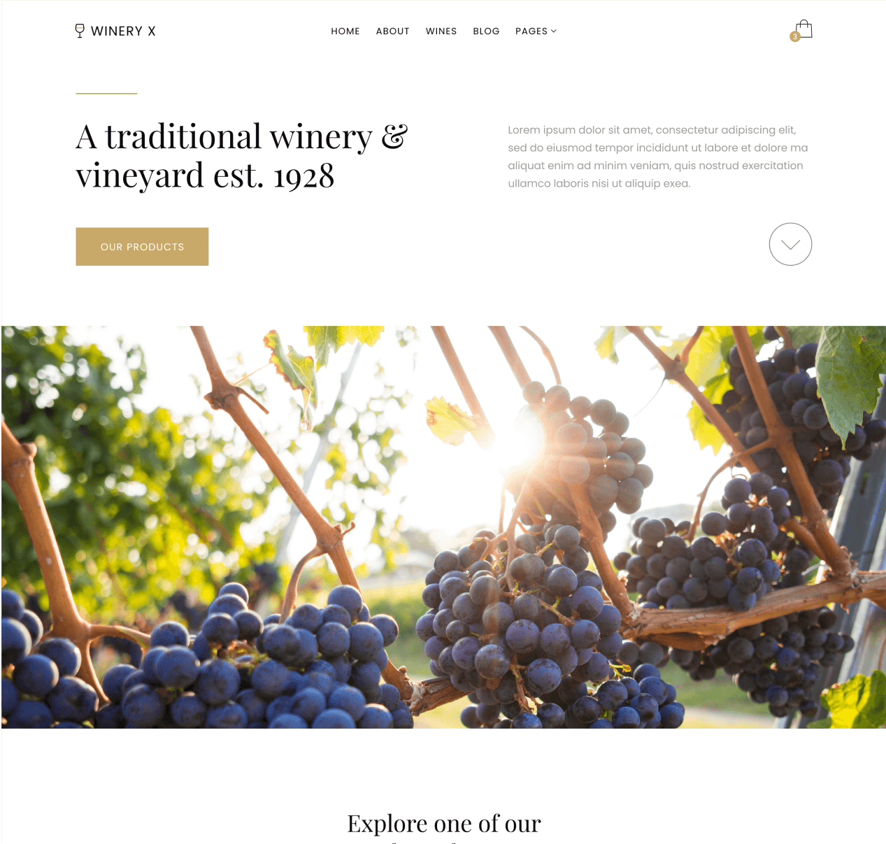 Winery X - Home page - Winery Webflow Template