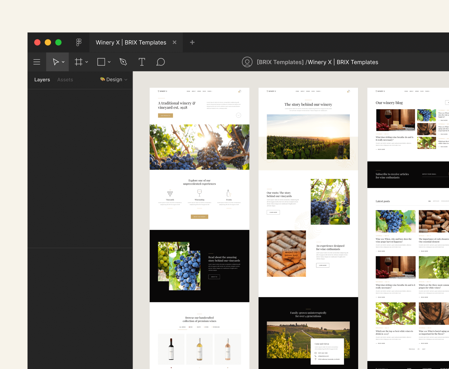Winery X - Figma File Included - Winery Webflow Template