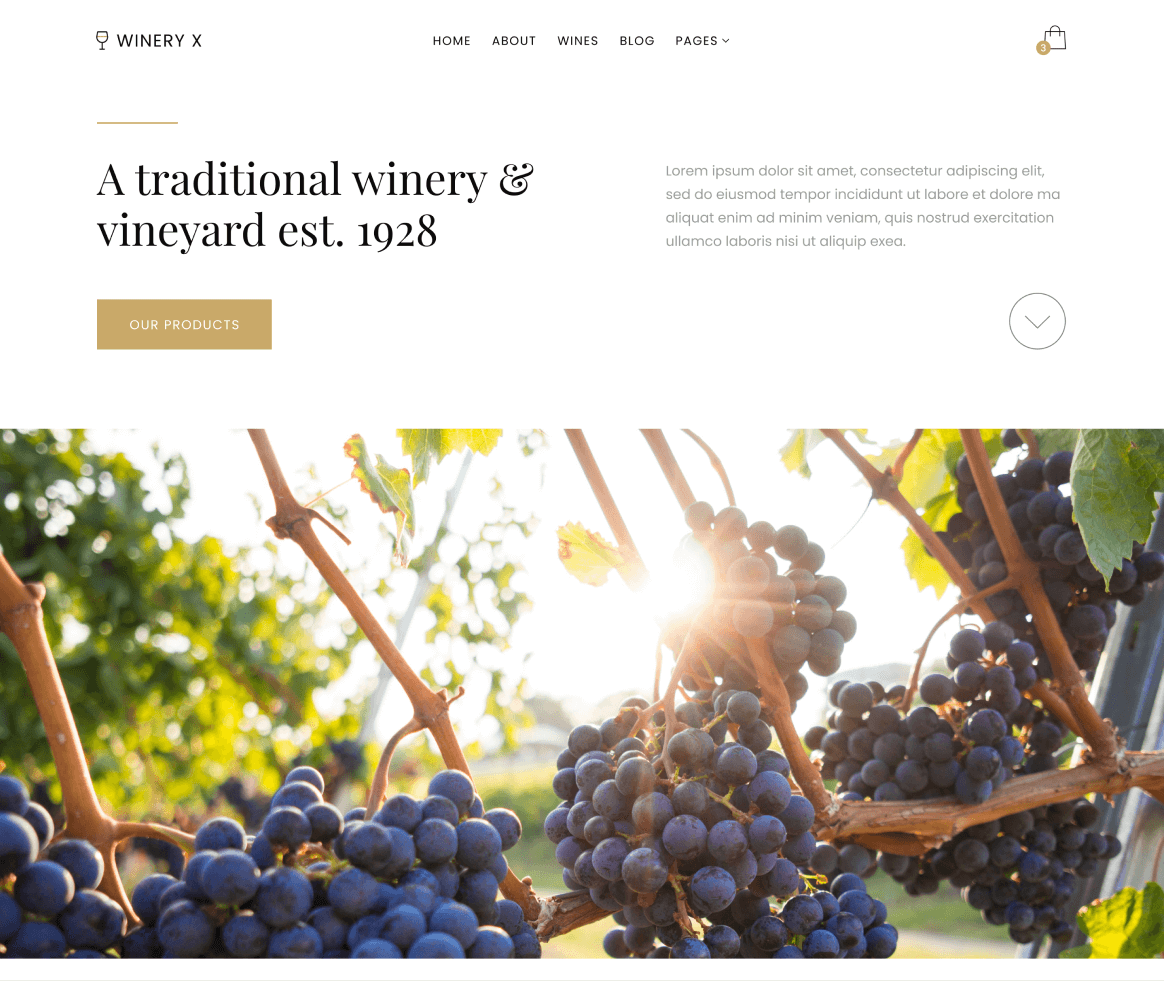 Winery X - Home page - Winery Webflow Template