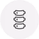Chiropractor Service Icon