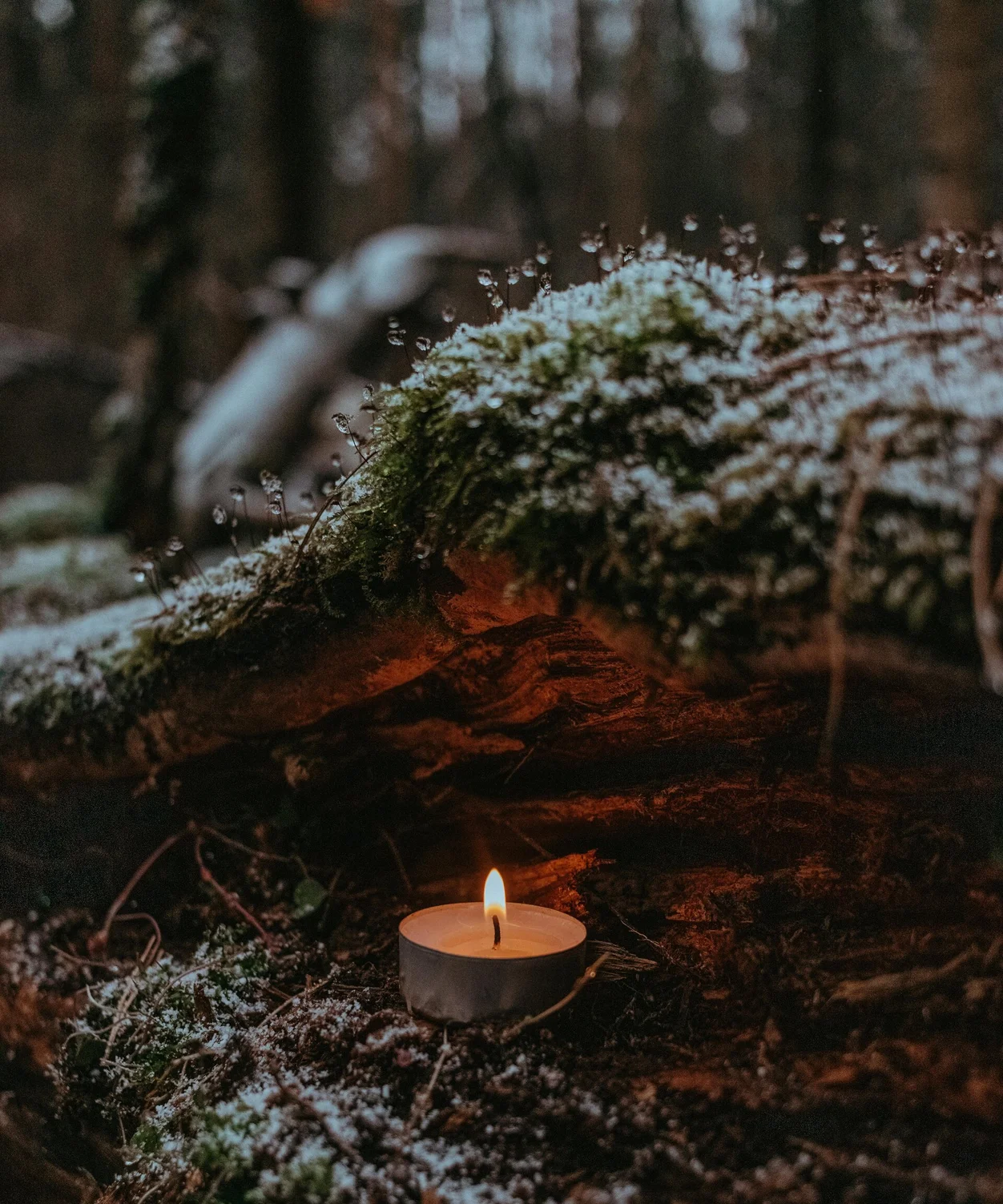 outdoor yoga session in a tranquil garden