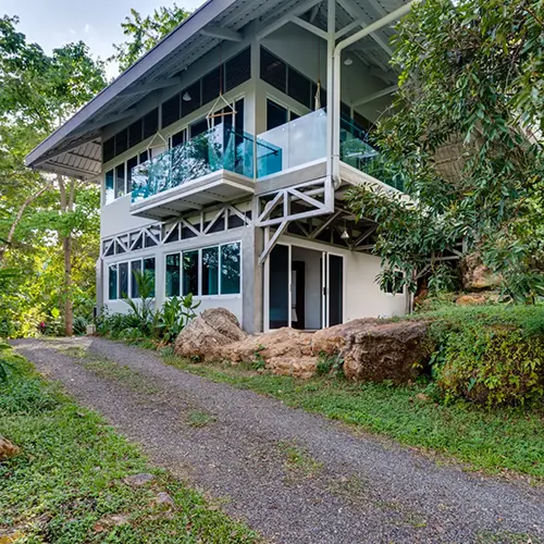 Casa Buho