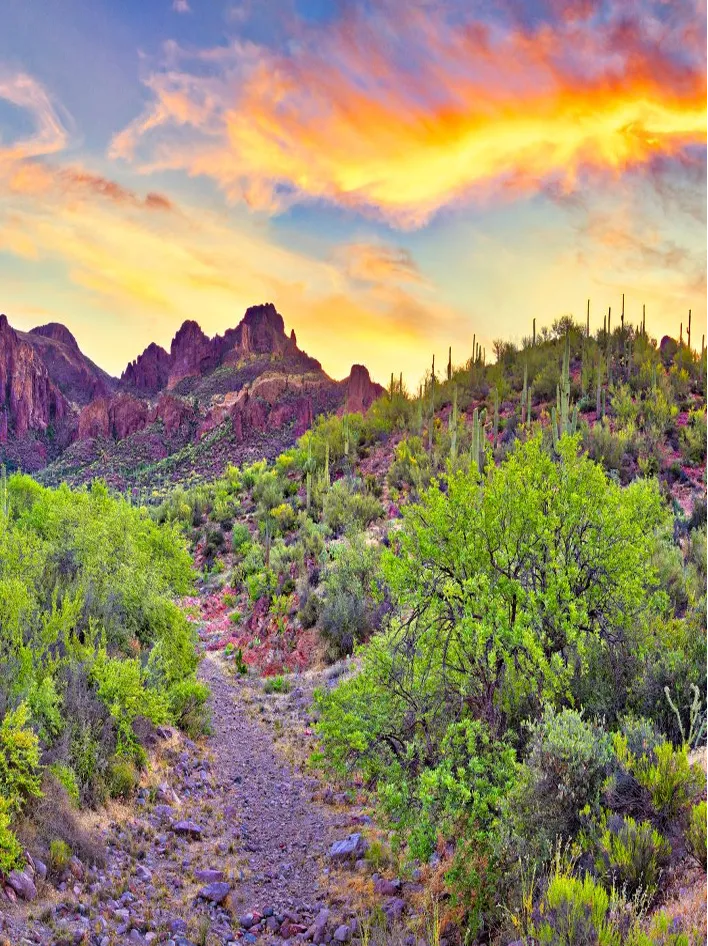 A vibrant desert landscape with cacti, rugged mountains, and a colorful sunset sky.
