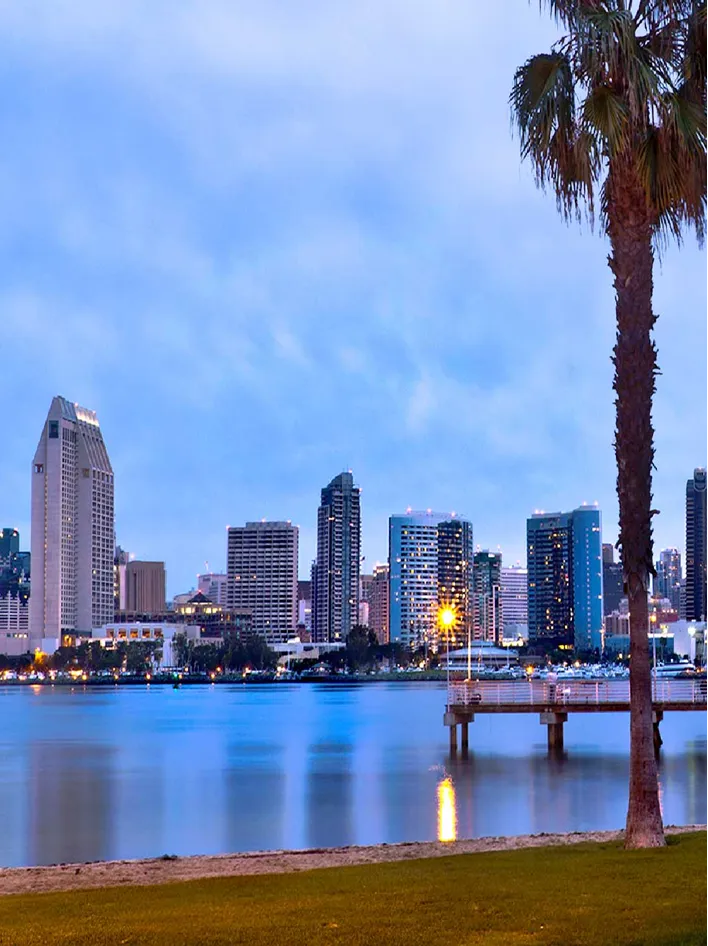 A serene waterfront view of a modern city skyline at dusk, featuring a palm tree and pier.