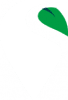Synergy Pin with green leaf