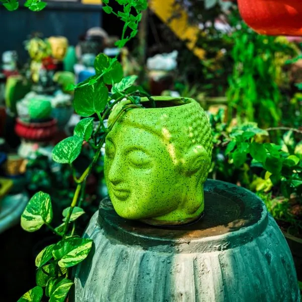 A green Buddha-shaped planter sits on a pedestal surrounded by lush greenery.