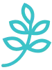 A minimalist teal leaf branch icon with five oval-shaped leaves on a curved stem.