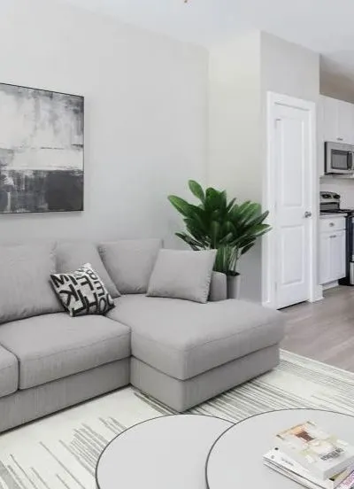 Modern living room with gray sofa, abstract art, indoor plant, and view of a compact kitchen.