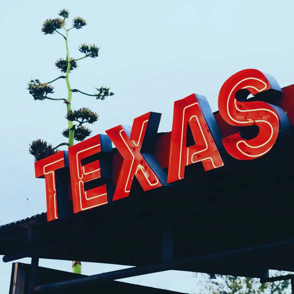 A red neon "TEXAS" sign stands against a clear sky, with a tall plant visible in the background.