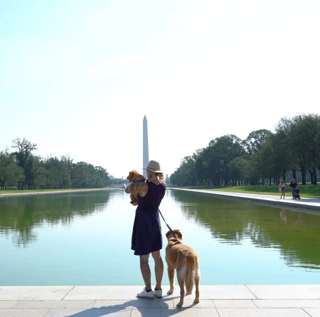 A woman with two dogs stands by the Reflecting Pool, facing the Washington Monument.