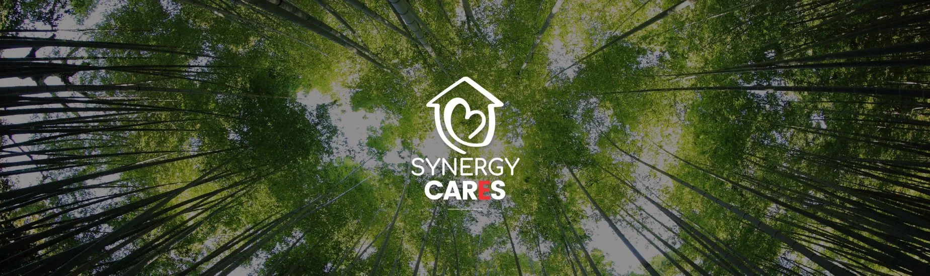 A serene upward view of a bamboo forest with the "Synergy Cares" logo centered prominently.
