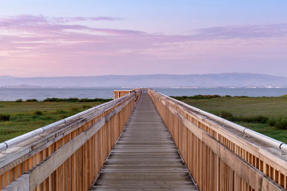 A wooden boardwalk extends over wetlands toward a calm bay under a pastel-colored sky.