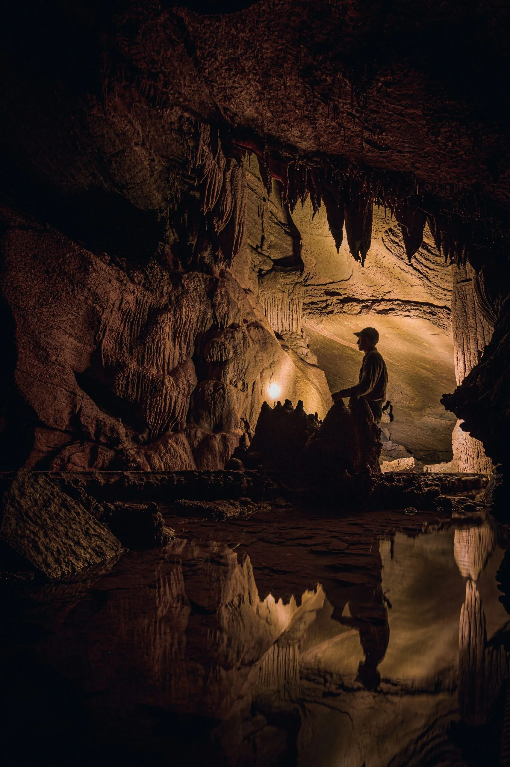 A dimly lit cave with stalactites, a reflective pool, and a silhouetted figure in the foreground.