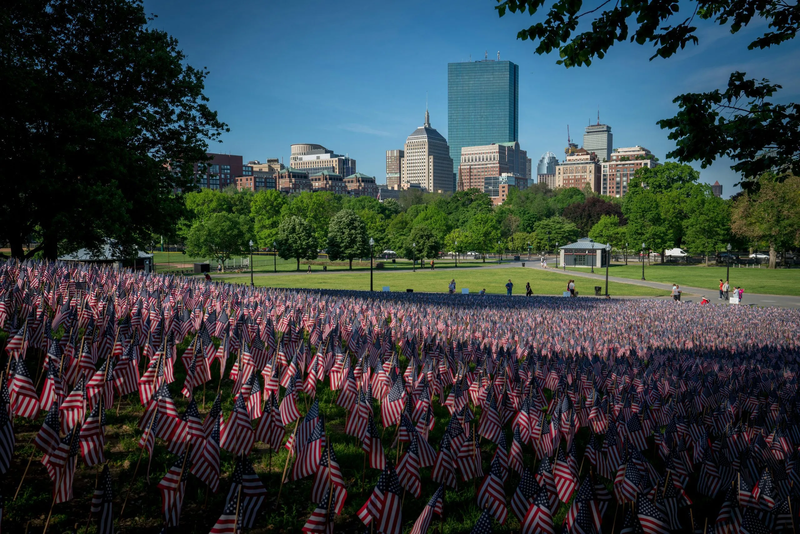 Thousands of American flags cover a park lawn, with Boston's skyline visible in the background.