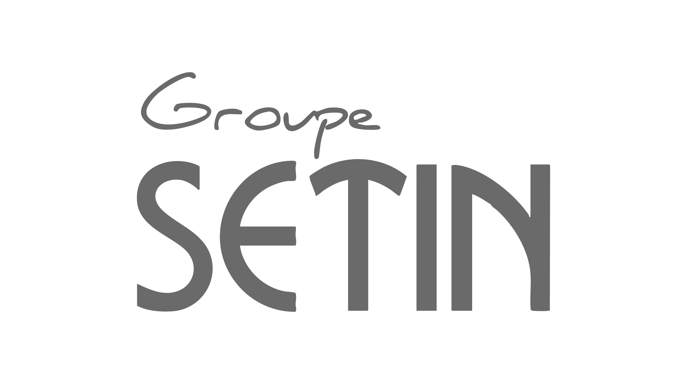 logo groupe setin gris