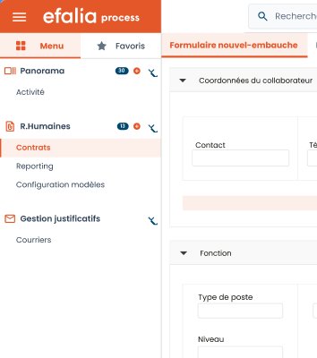 facette logiciel business process management efalia process rh