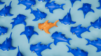 petits requins en plastique bleus avec un requin orange au milieu Efalia