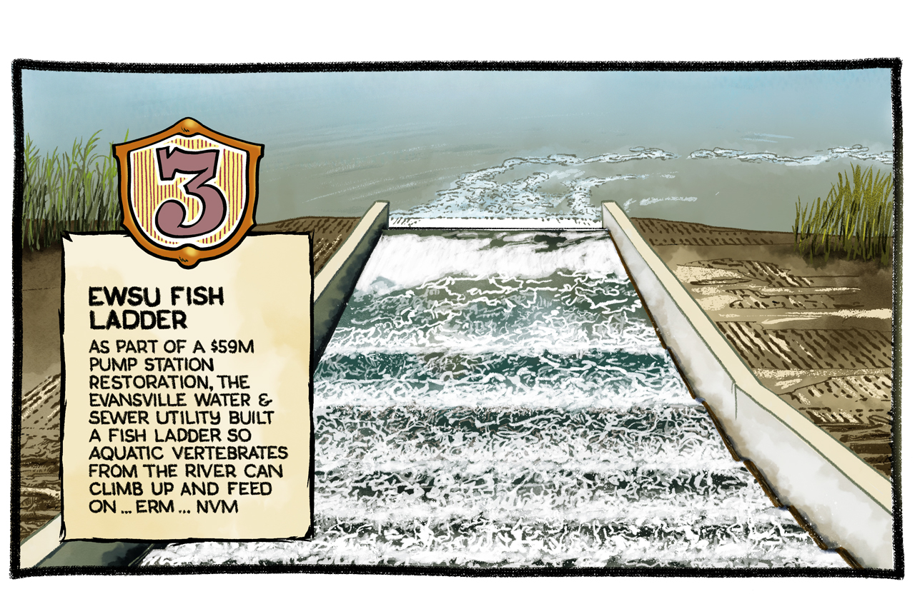 Illustration of the Fish Ladder with hand lettered text