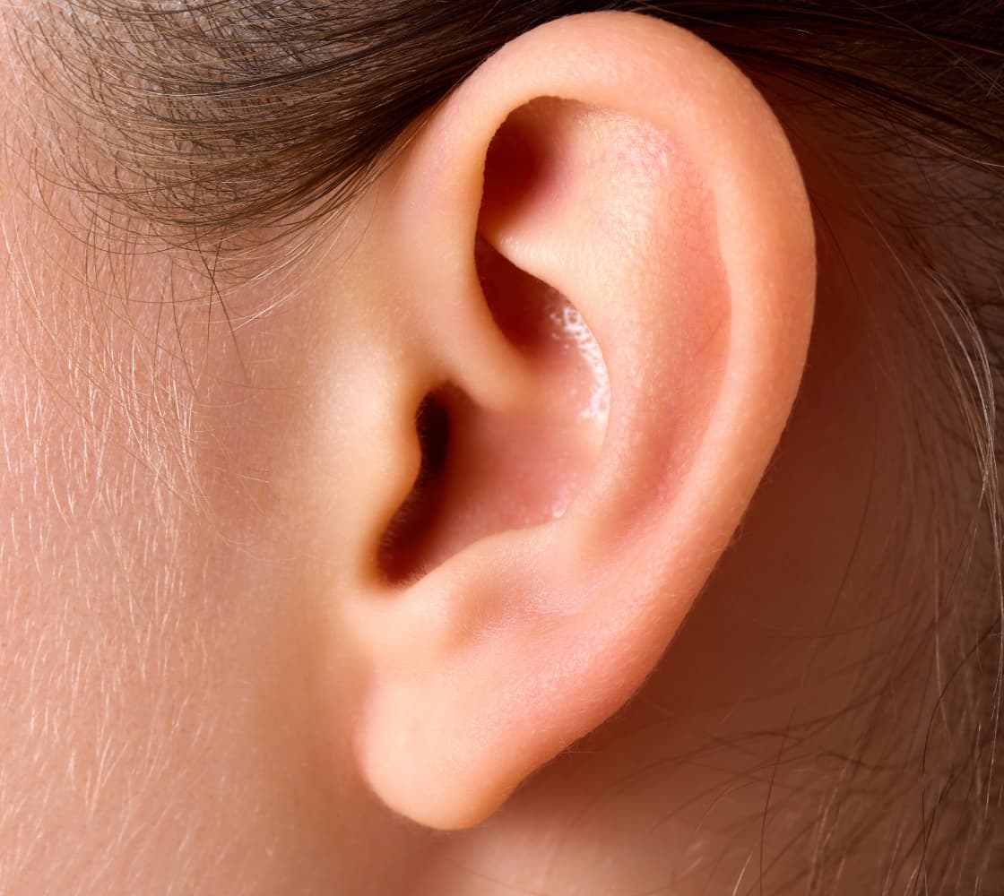 A close-up image of a human ear, showing its distinctive shape and features, including the outer ear structure and the ear canal.