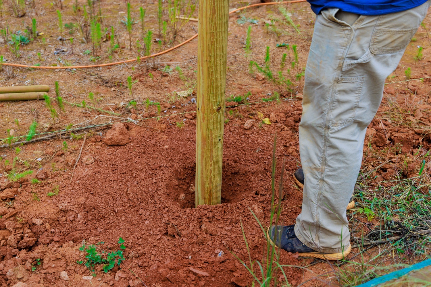 A wooden post is being set into a deep, freshly dug hole in red soil.