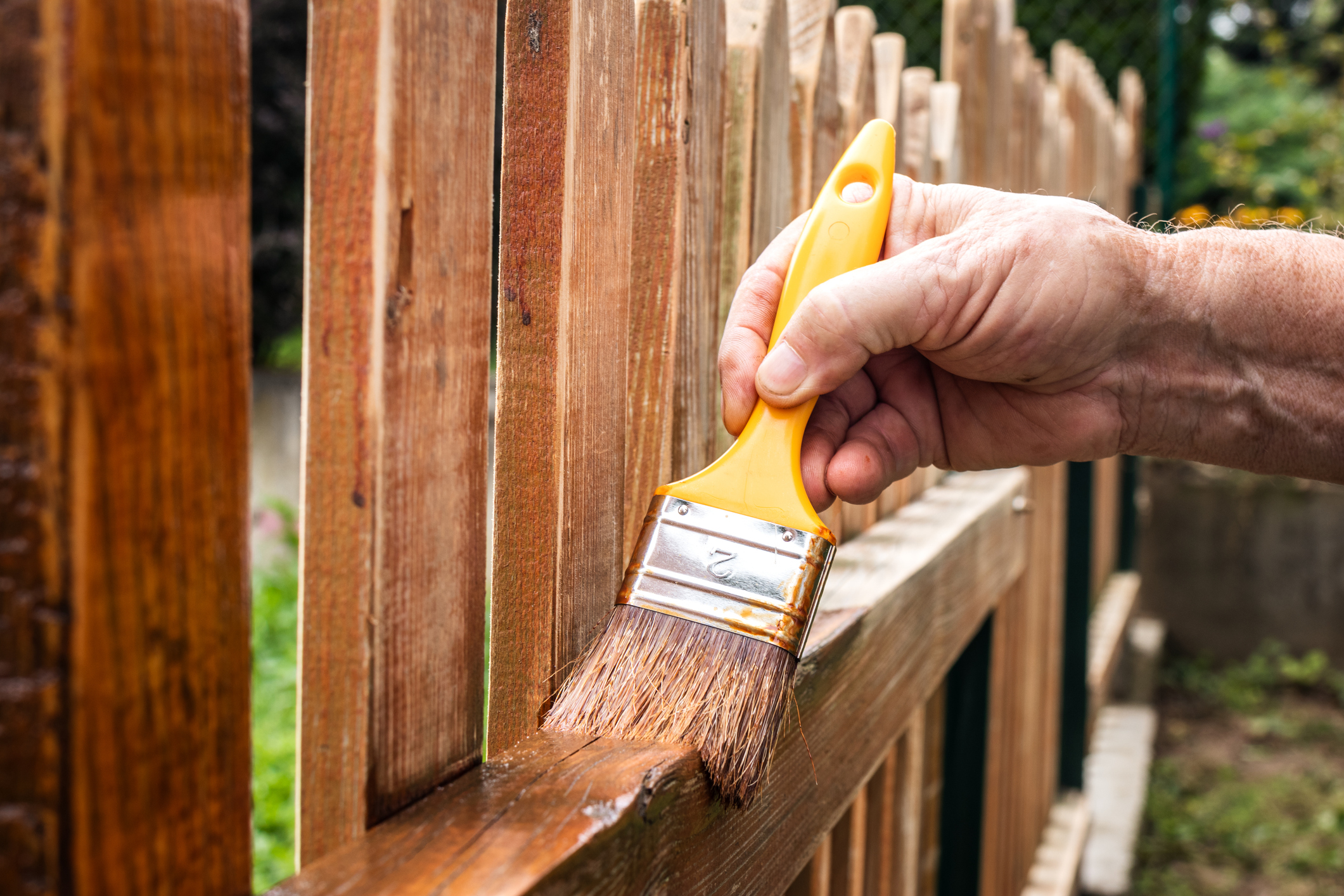 Hand applying wood stain to a cedar fence with paintbrush against blue sky.