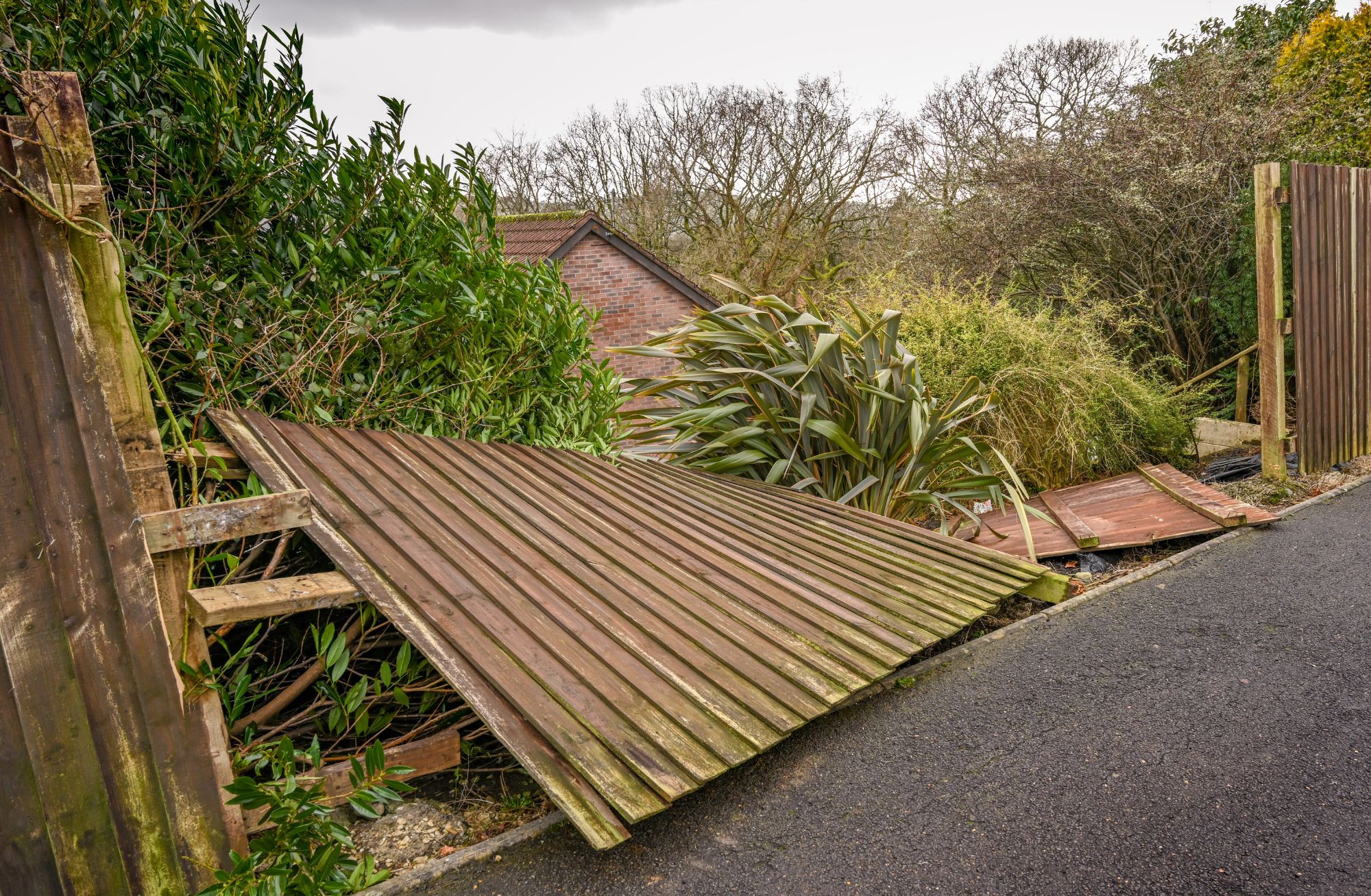 Fallen wooden fence panels lying beside a road, with dense shrubs and trees in the background