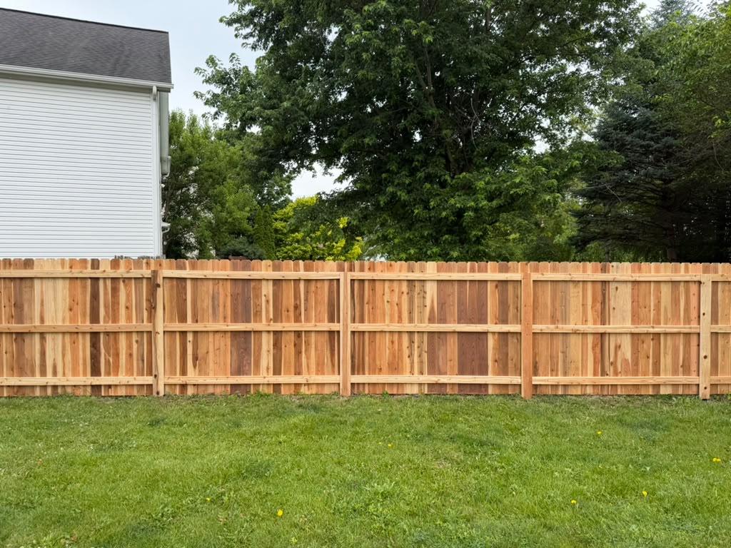 Cedar privacy fence with trees in the summer