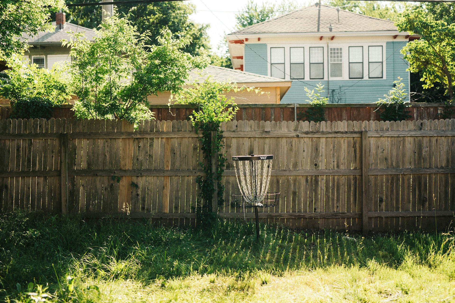 Aging wood privacy fence with weathered gray boards in an overgrown backyard