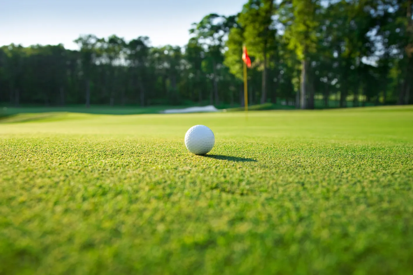 golf course stock image