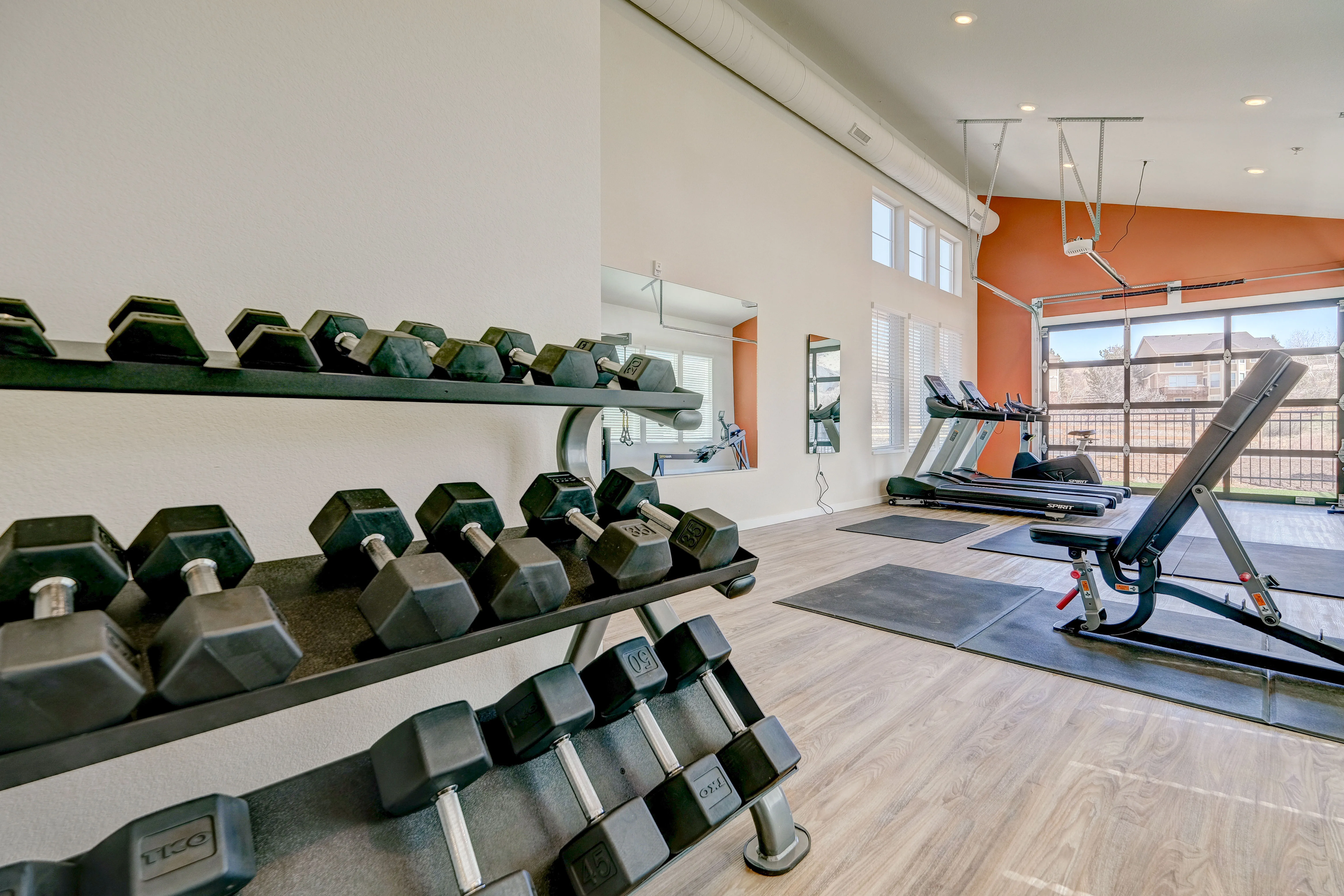 gym