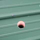 Pink sphere resting on green parallel lined surface or roof