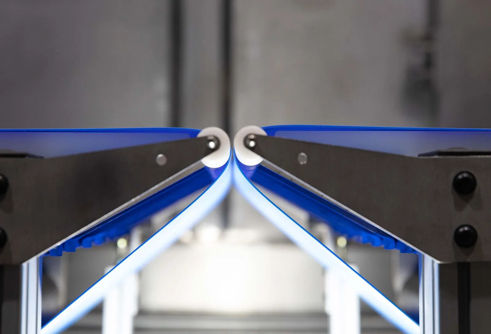 blue belt and lugdrive