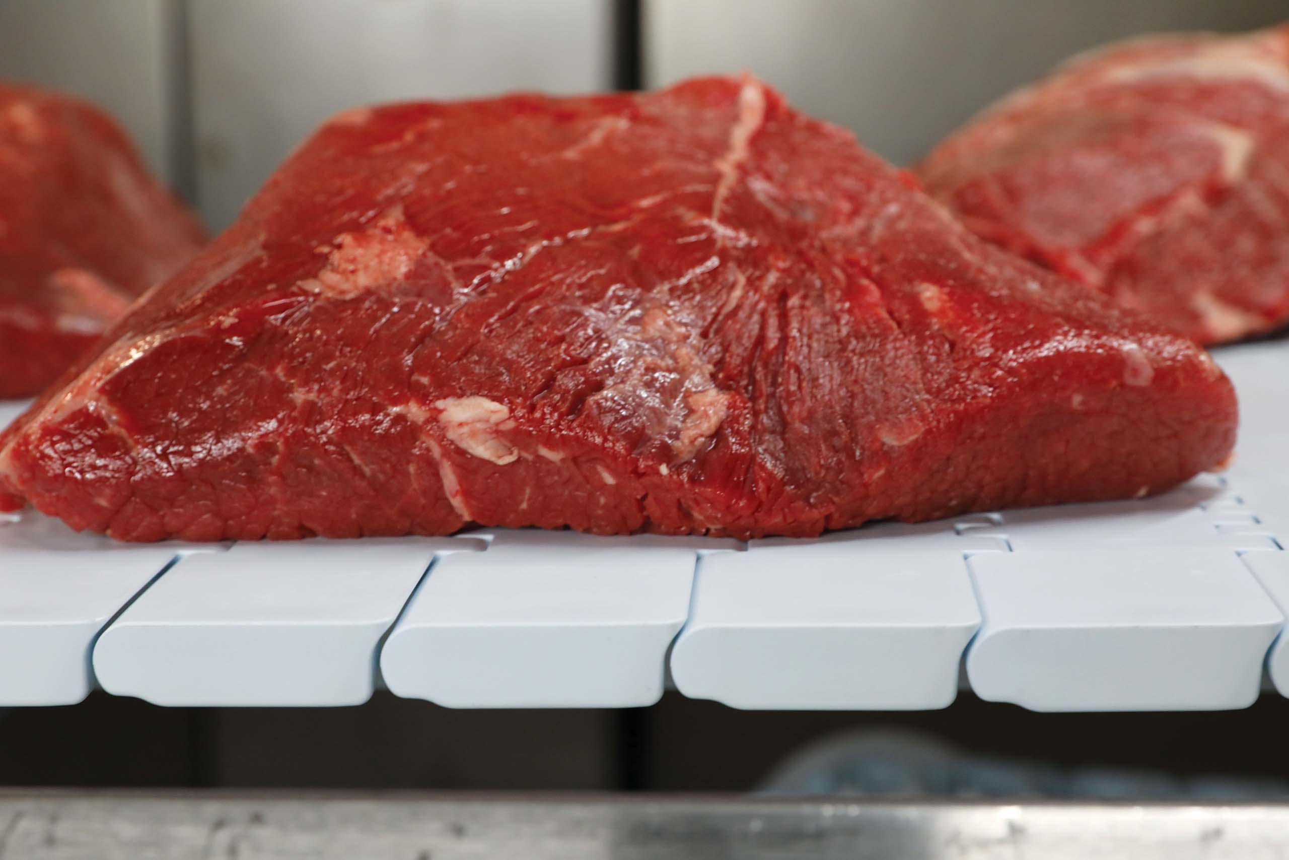 beef on white conveyor belt system