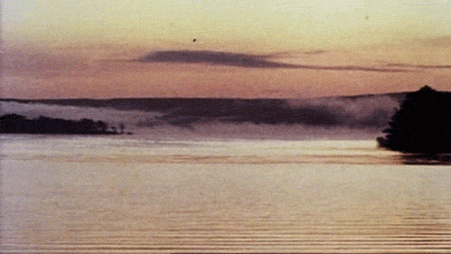 Big Burss Background GIF