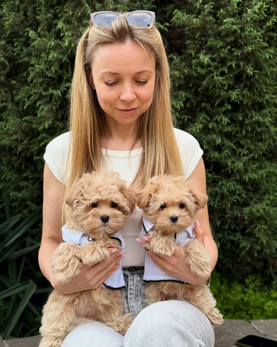 girl carrying 2 maltipoo puppies for sale