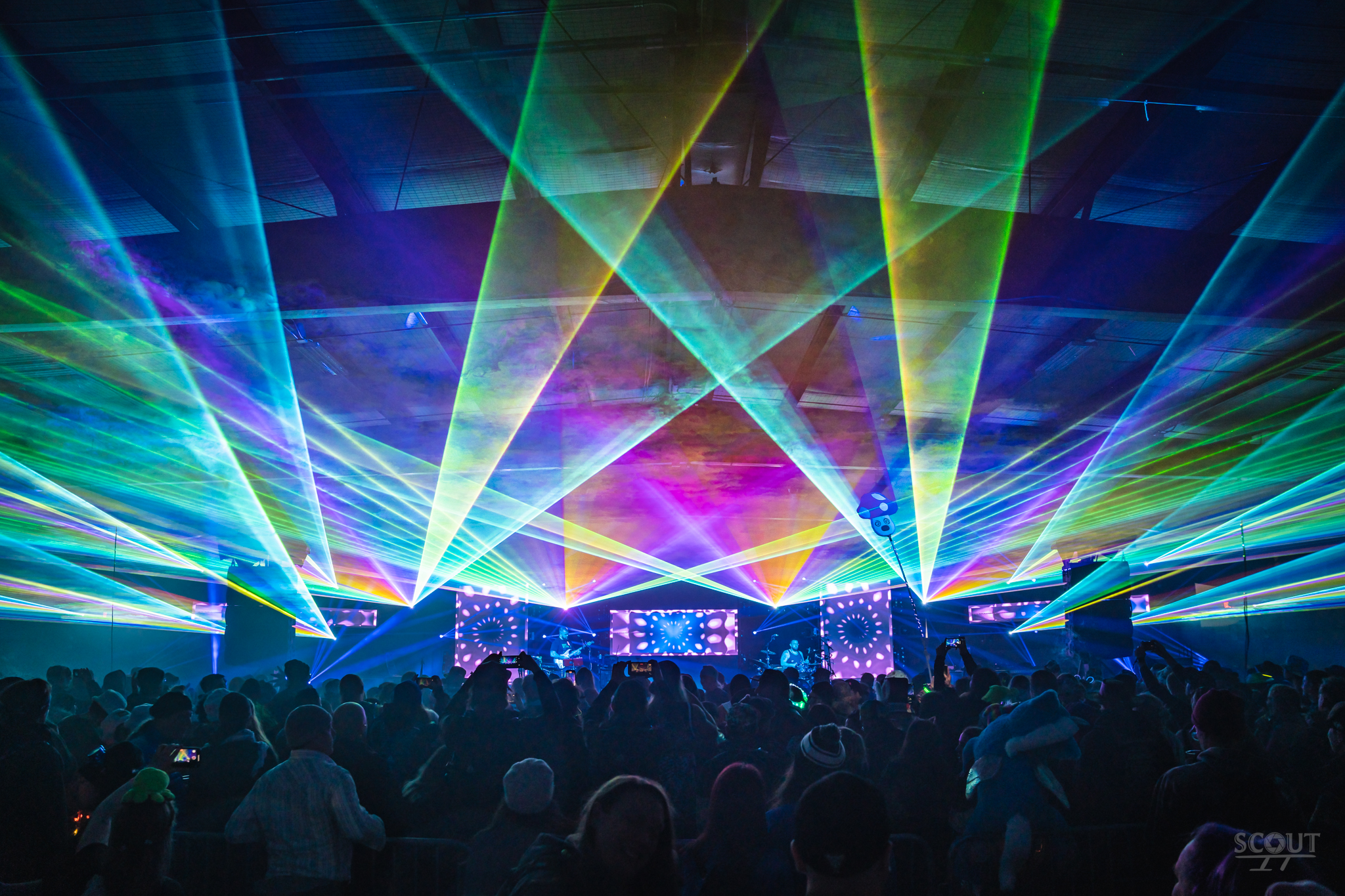 The Floozies performing live with vibrant laser lights and a packed crowd.