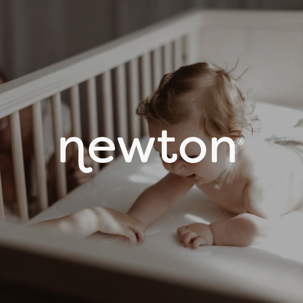 Newton