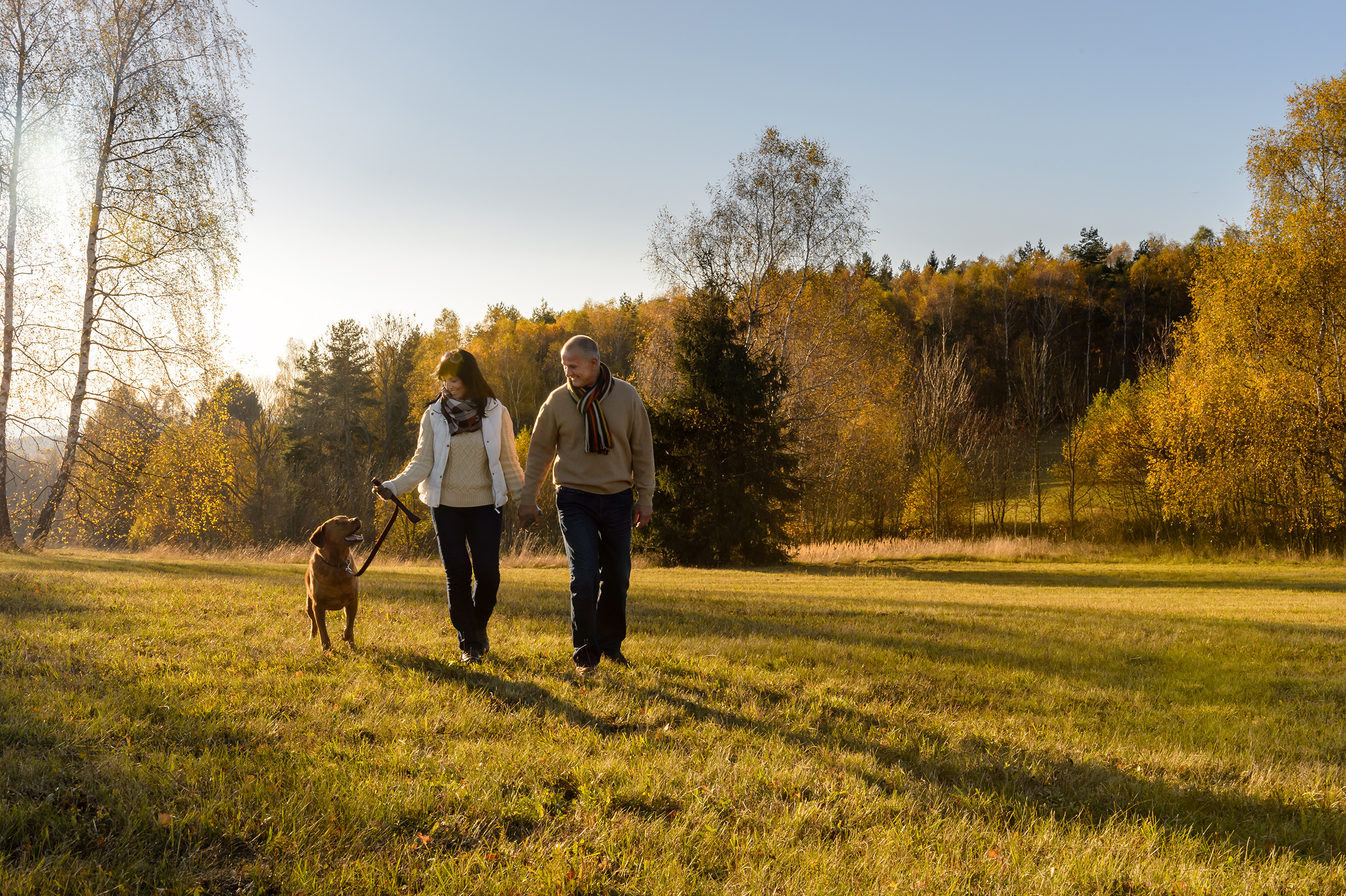 A couple walks in a field during autumn. What is the best time of year to retire? Turns out, it really matters. Learn more in our complete guide.