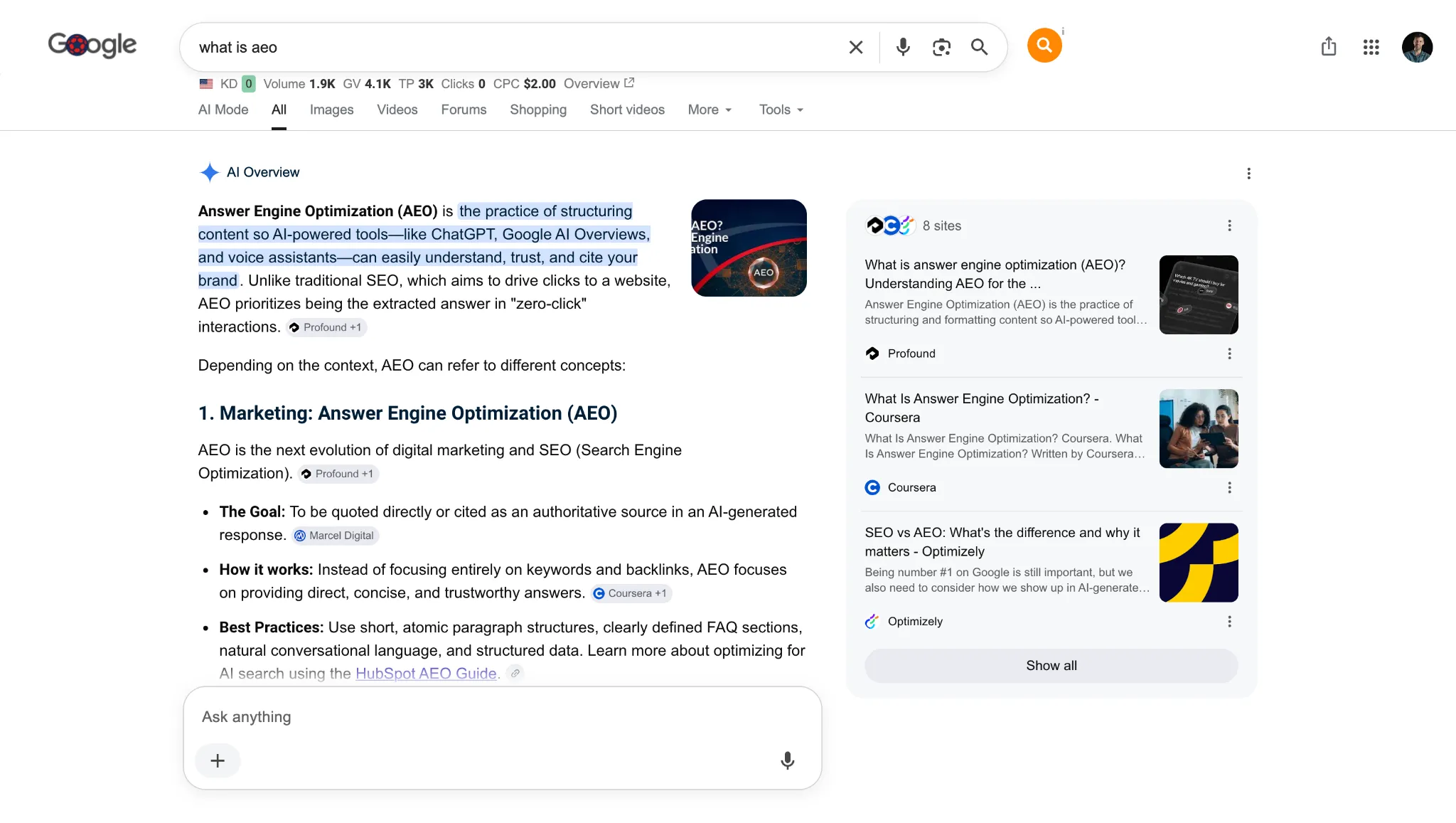 Example AI Overview Search